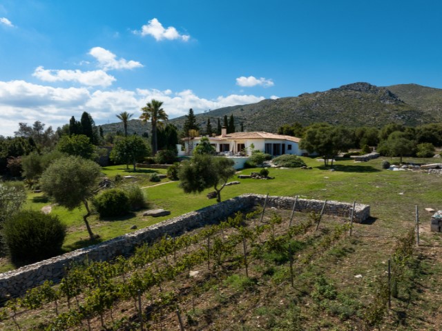 Renovierte Finca mit Pool und Panoramablick bis zum Meer - 3
