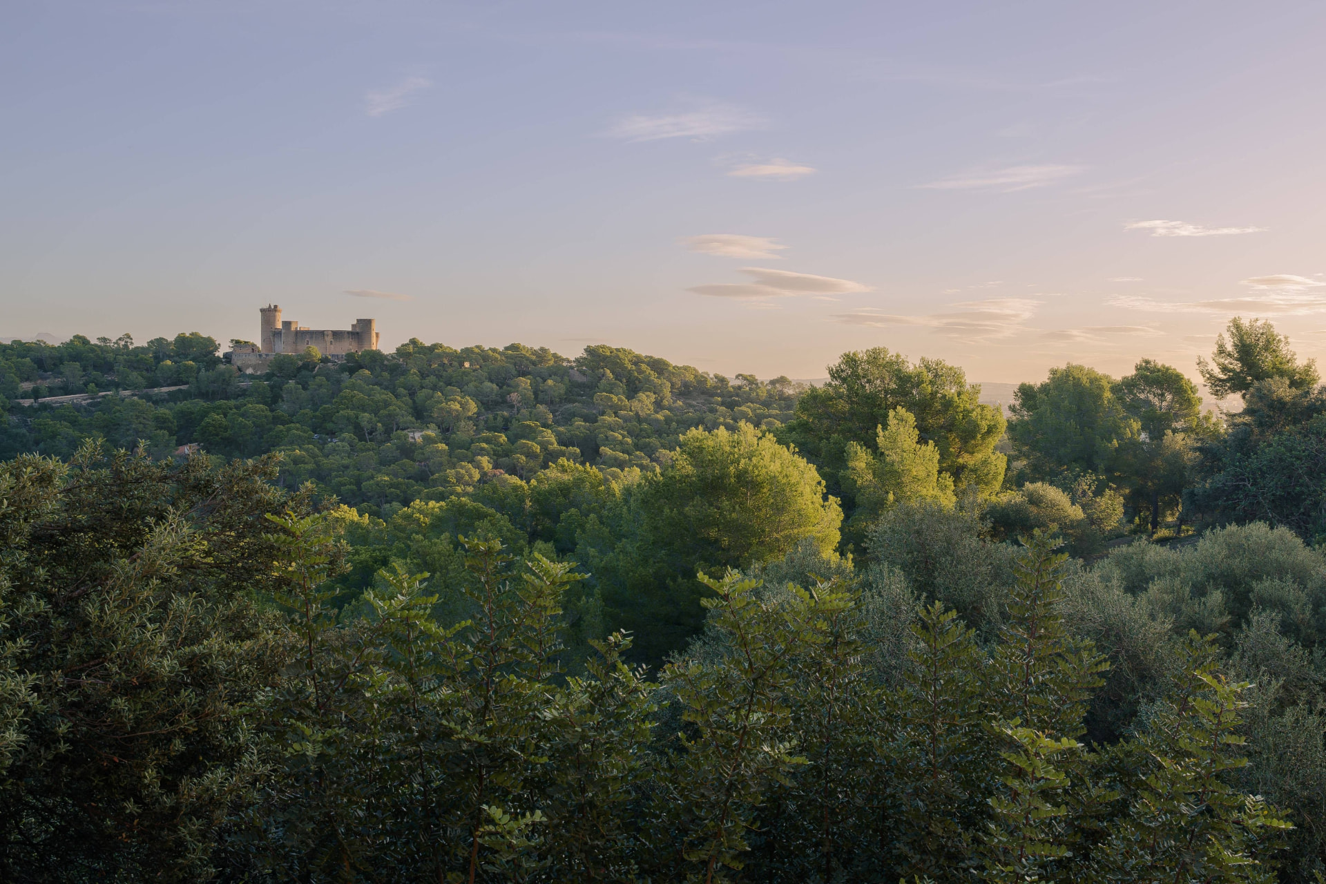 Möblierte Design-Wohnung mit Meerblick in La Bonanova - 14